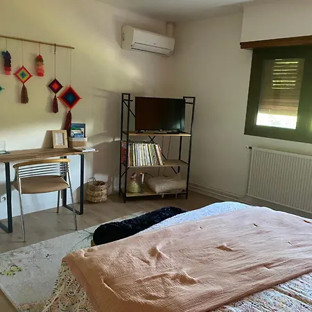 2 Dans Avec Et Piscine * Idron