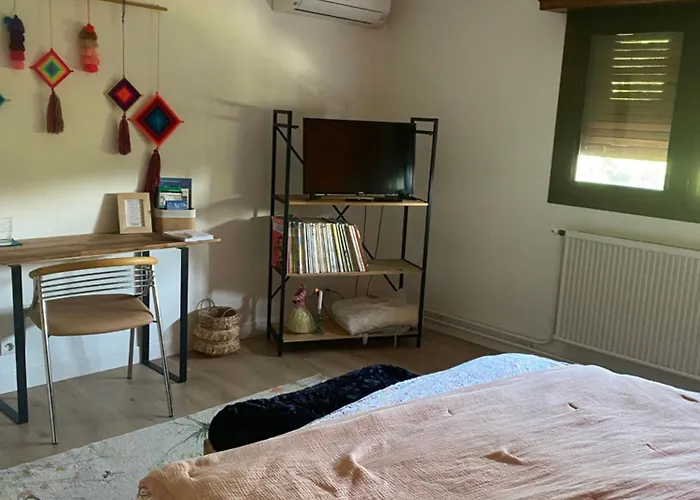 2 Dans Avec Et Piscine * Idron